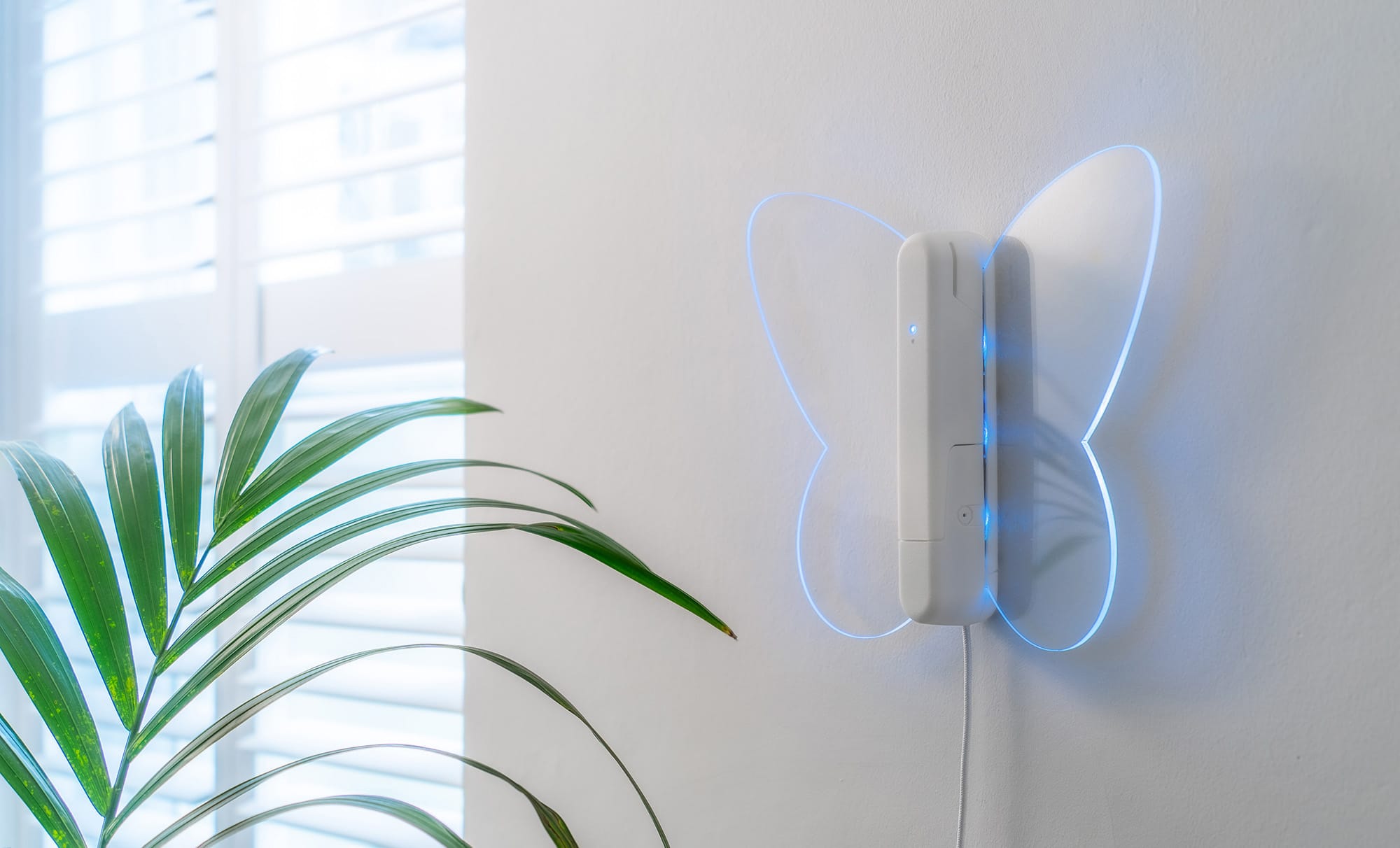 Morpho air quality monitor glowing blue on a wall
